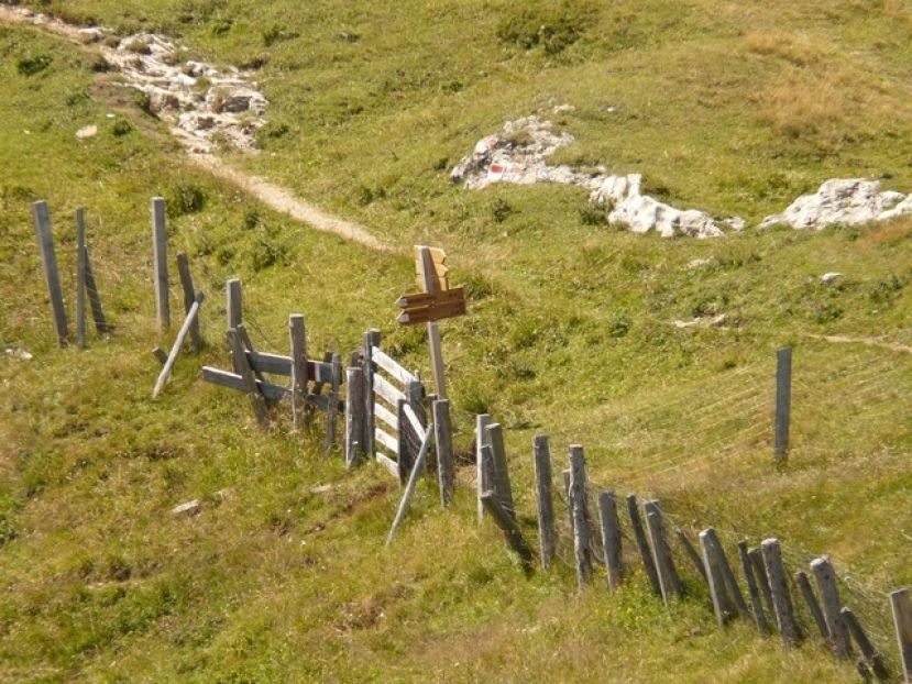Frau stürzte wegen Holzgeländer ab.