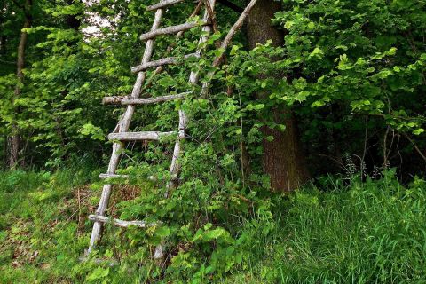 Bei Arbeitsunfall schwer verletzt