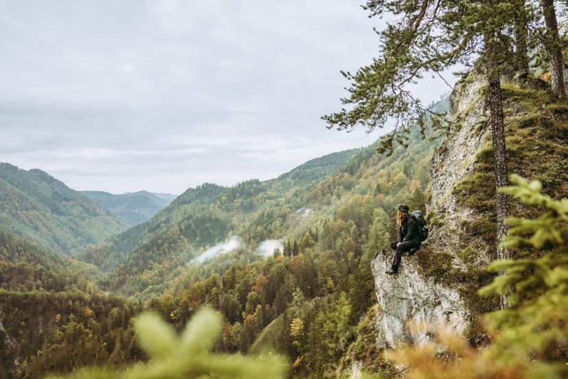 Gregor Seberg, der Luchs und sein Trail