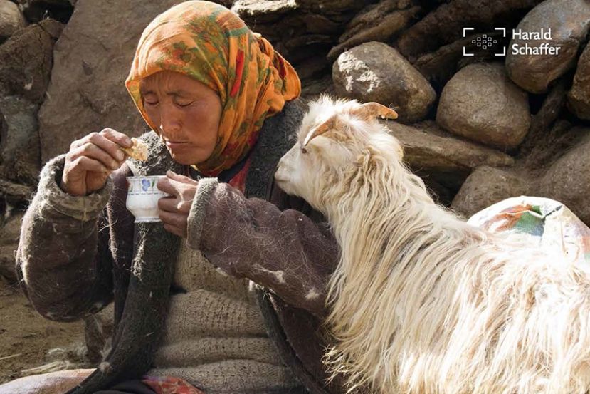 LADAKH Vortrag mit Harald Schaffer