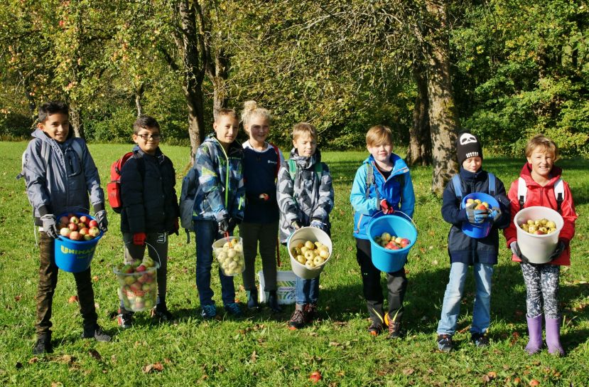 Erfolgreiche Obsternte der VS St. Gallen bei der Mostkellerei Veitlbauer