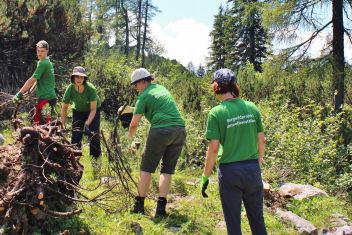 Gemeinsam geht’s besser: Mit Teamarbeit wird die Alm von den Latschen befreit.