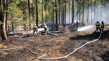 Waldbrand wegen Sonne und wenig Regen