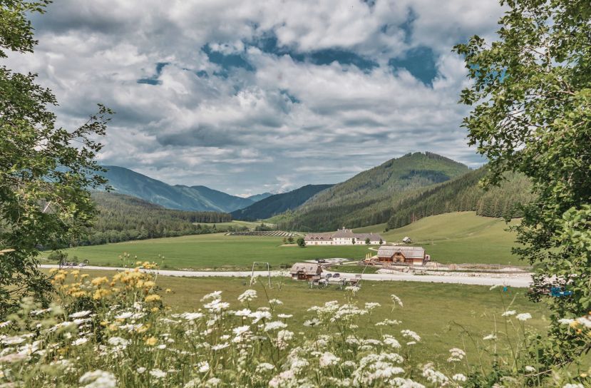 Faszinierend in Vielfalt geführter Rundgang