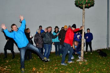 Der Mai- Baum ist perfekt gefallen