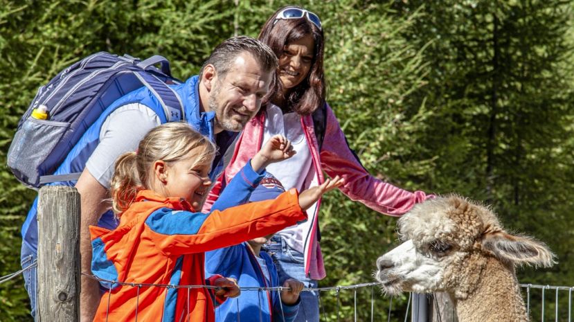 Mit Papa auf zum Wilden Berg