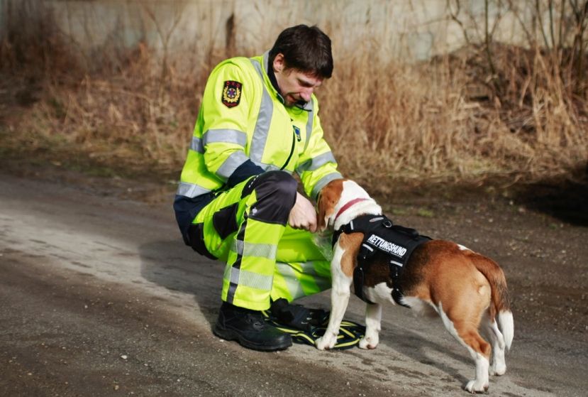 Monatstraining der Rettungshunde in Selzthal