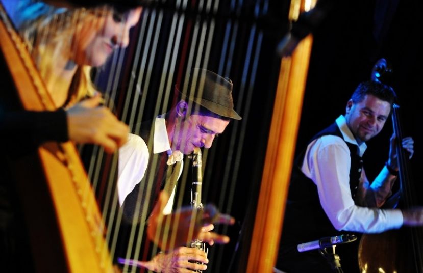 Herbert Pixner Trio 10. &amp; 13. Mai