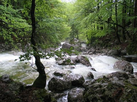 Tödlicher Unfall in Palfau