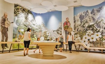 Wer entdeckt die Geheimnisse im Museum?