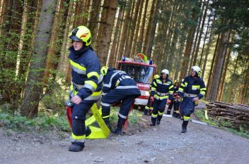 Waldbrand am Lärcheck