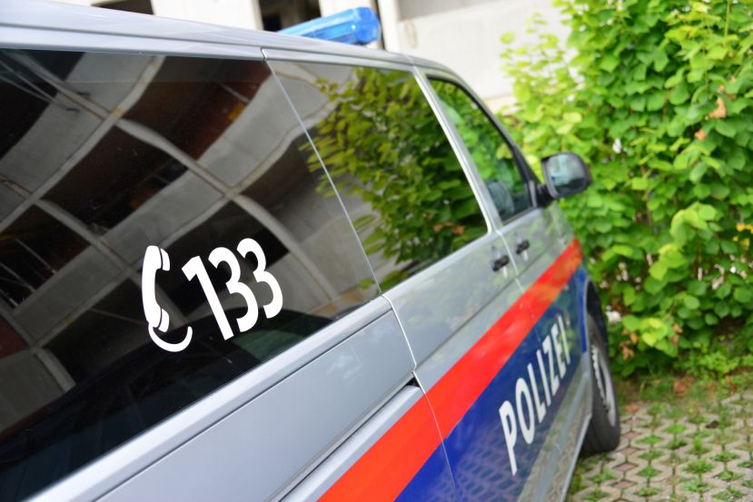 Anzeigenstatistik der Polizei 2023