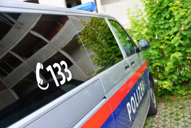 Anzeigenstatistik der Polizei 2023