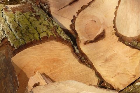 Bei Holzarbeiten schwer verletzt