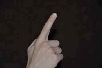 Die Täter wurden auf freiem Fuß angezeigt