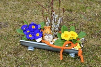 Frühlingserwachen und Unfallgefahr