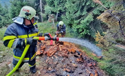40 Mann bekämpfen Waldbrand in Steilgelände