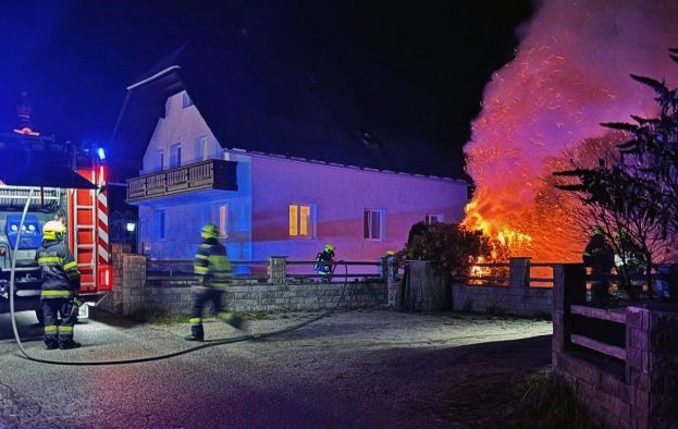 Halloween-Feuerwerk löst Heckenbrand aus
