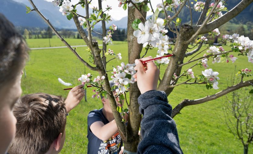 Naturparkschulen erforschen die Bestäuberphänologie