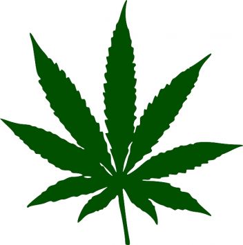 Marihuana Anlage unter Zelt gefunden