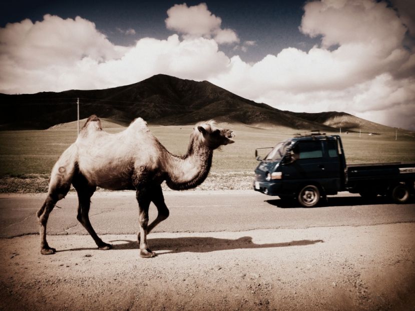 In der Ferne - Mongolei