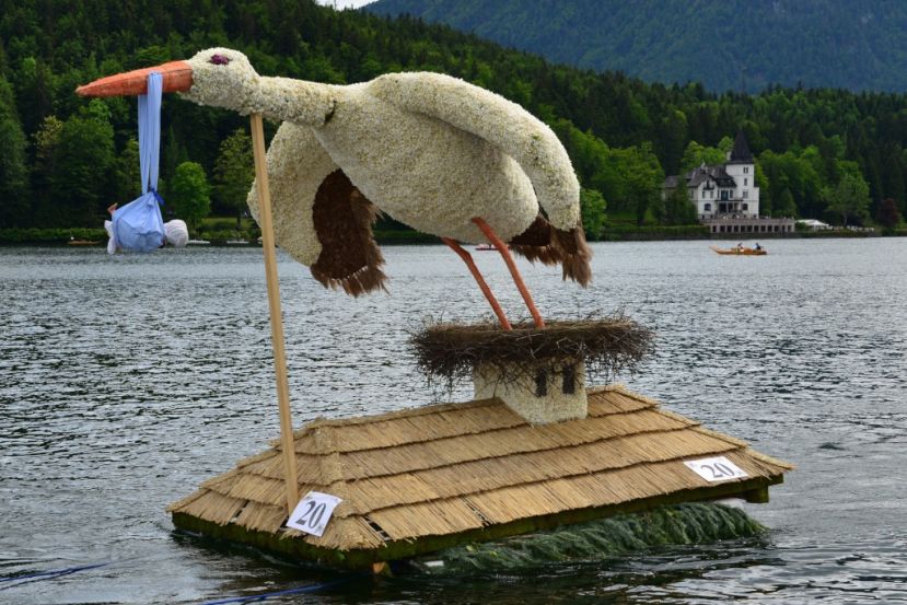 Storch gewinnt beim Narzissenfest