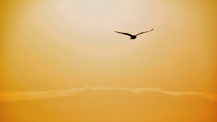 Einige Gedanken zur Corona–Situation