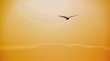 Einige Gedanken zur Corona–Situation
