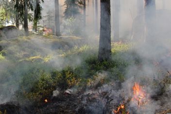 Waldbrand auf der Grafenbergalm