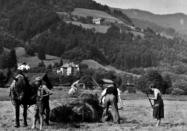 Historische Fotoschätze aus Liezen-West: Landwirtschaft anno dazumal mit dem im Jahr 1982 abgebrochenen Schloss Grafenegg im Hintergrund.