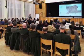 Wo gibt es Platz für den Luchs?
