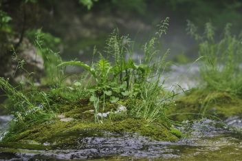 22. März ist Weltwassertag