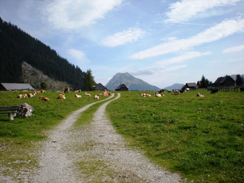 Hintereggeralm