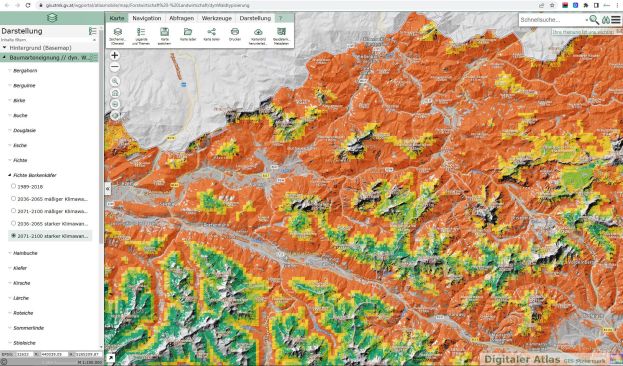 Im Nationalpark wächst der Wald der Zukunft