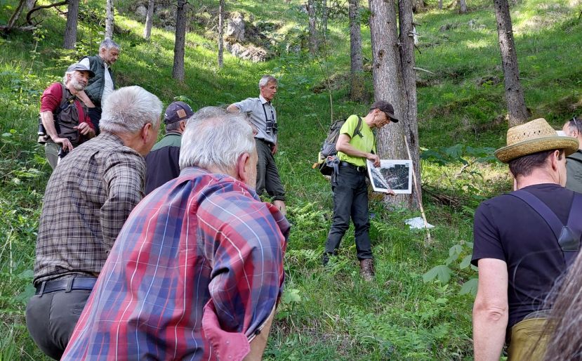 Exkursion in den Objektschutzwald