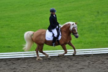 WILFINGER erfolgreich beim Cup