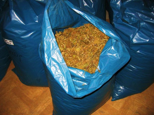 78 Kg Marihuana in Bad Aussee