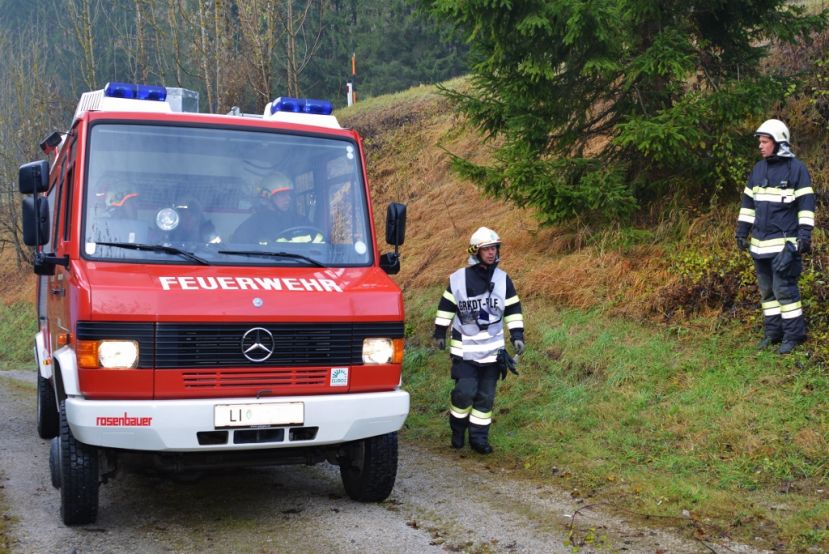 Wehrversammlung der FF Hall