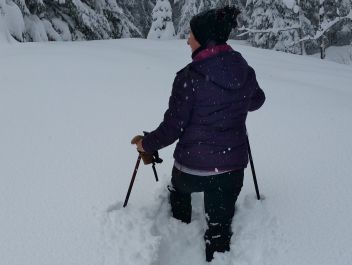 Wildfütterung gehört zu den Aufgaben der Jäger