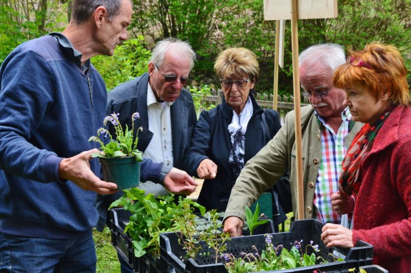 Sölker Gartentag am 14. Mai in Großsölk