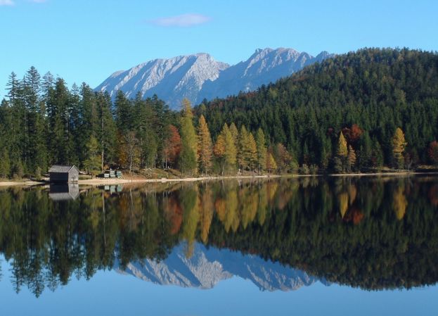 Erlebniswanderung beim Waldmoorsee