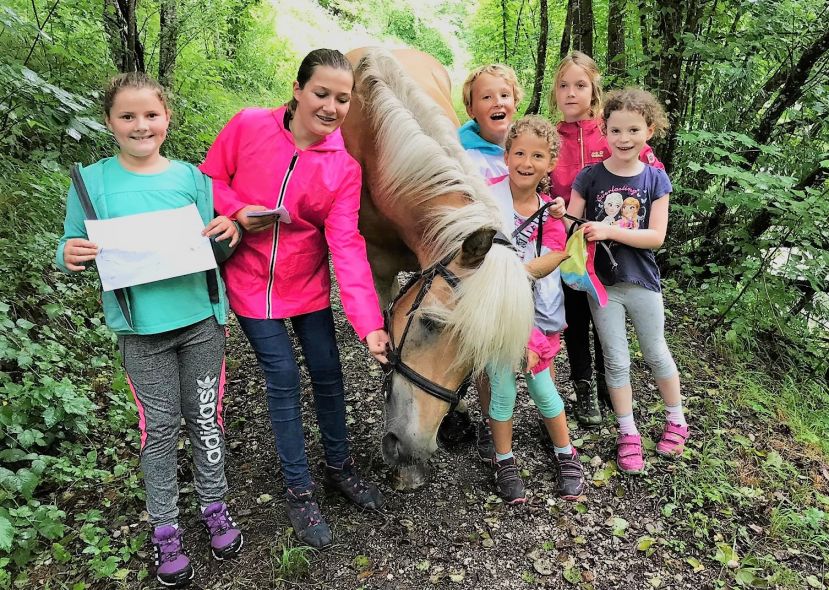 Die Welt der Pferde – Pferdekunde am Haflingerhof in Gams