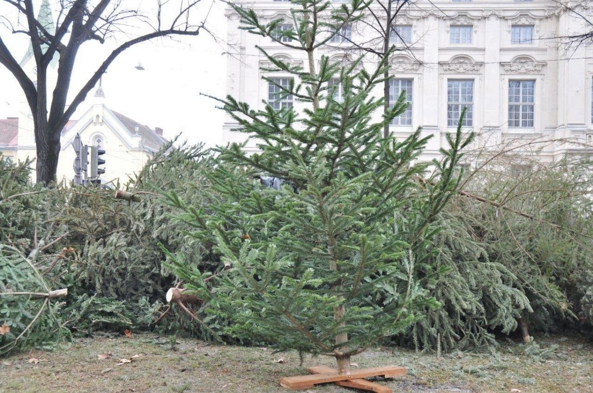 Von der Herzenswärme zur Raumwärme