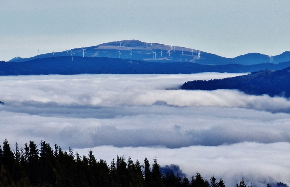 Die Windkraft oder die Wildnis?