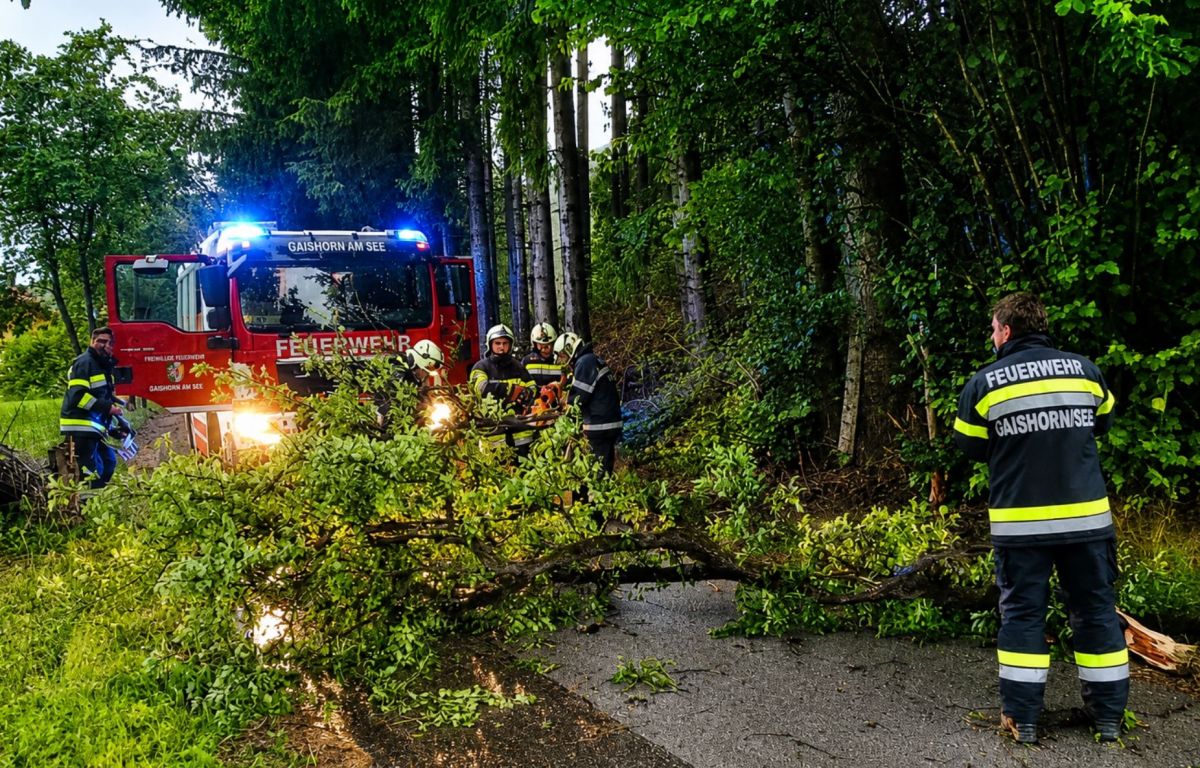 Sturmböen sorgen für 20 Einsätze im Bezirk