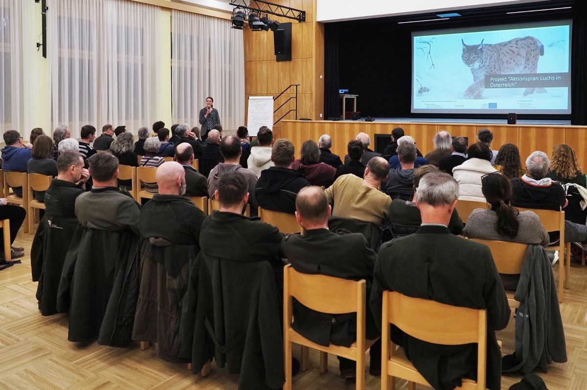 Wo gibt es Platz für den Luchs?