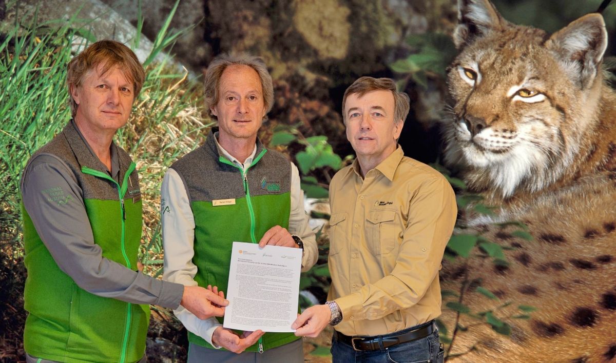 Sofortige Rettung für den Luchs