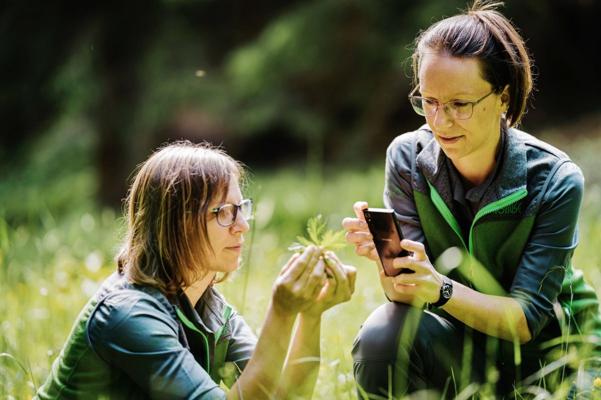 Selber forschen und entdecken im Nationalpark