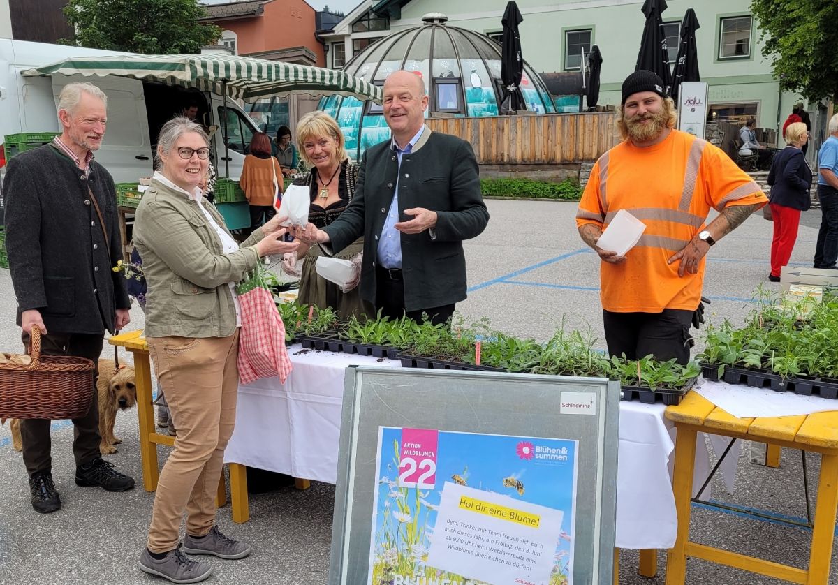 Schladming verschenkt Wildblumen