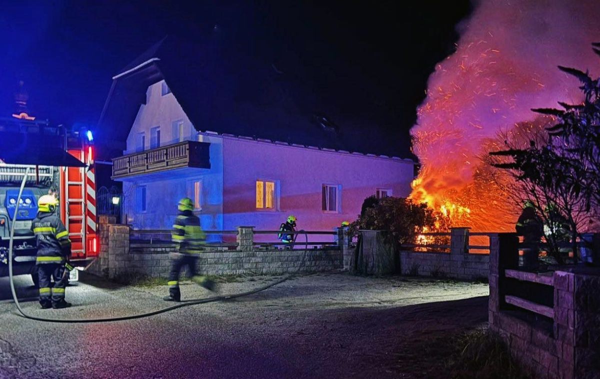 Halloween-Feuerwerk löst Heckenbrand aus